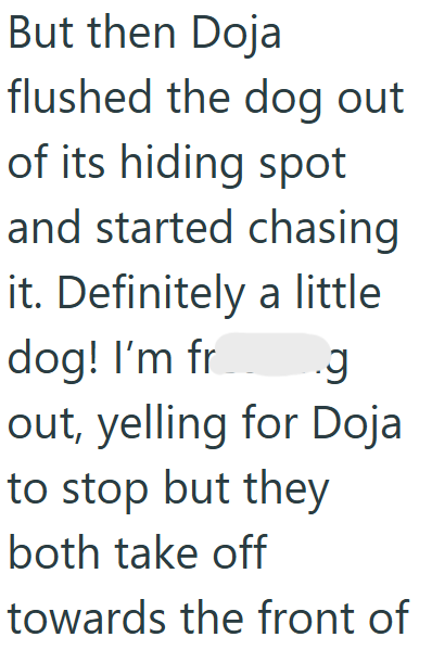 But then Doja flushed the dog out of its hiding spot and started chasing it. Definitely a little dog! I'm fr .g out, yelling for Doja to stop but they both take off towards the front of