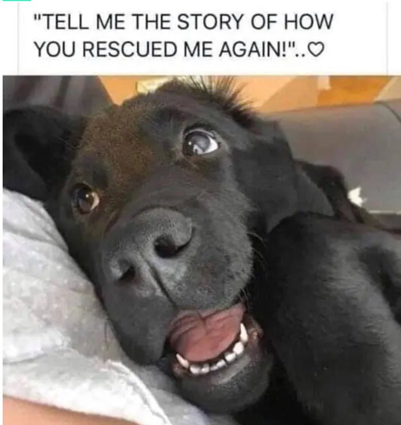 "TELL ME THE STORY OF HOW YOU RESCUED ME AGAIN!"..❤