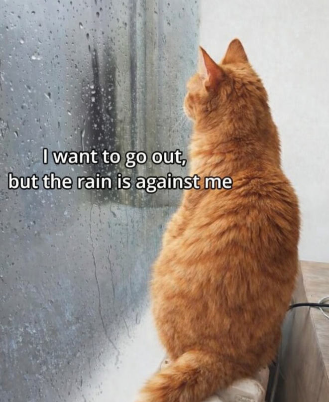 I want to go out, but the rain is against me