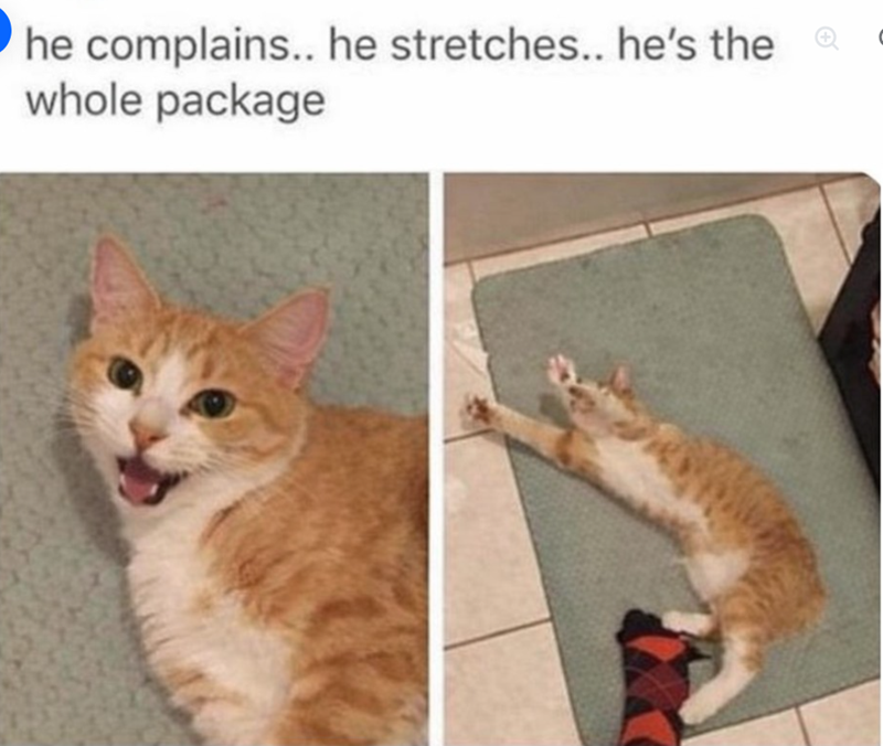 he complains.. he stretches.. he's the whole package