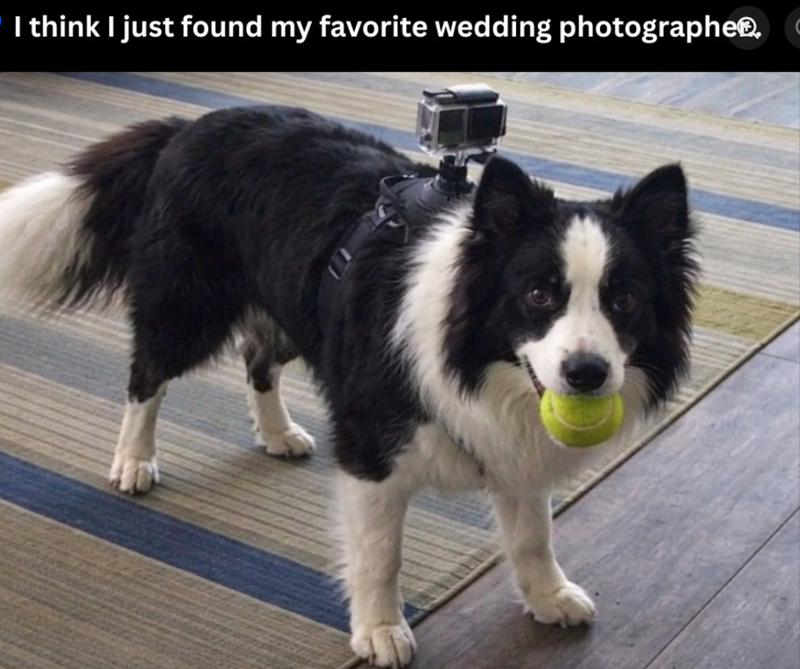 I think I just found my favorite wedding photographe