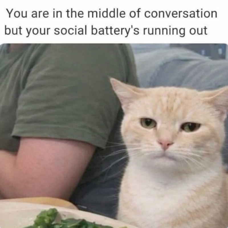 You are in the middle of conversation but your social battery's running out