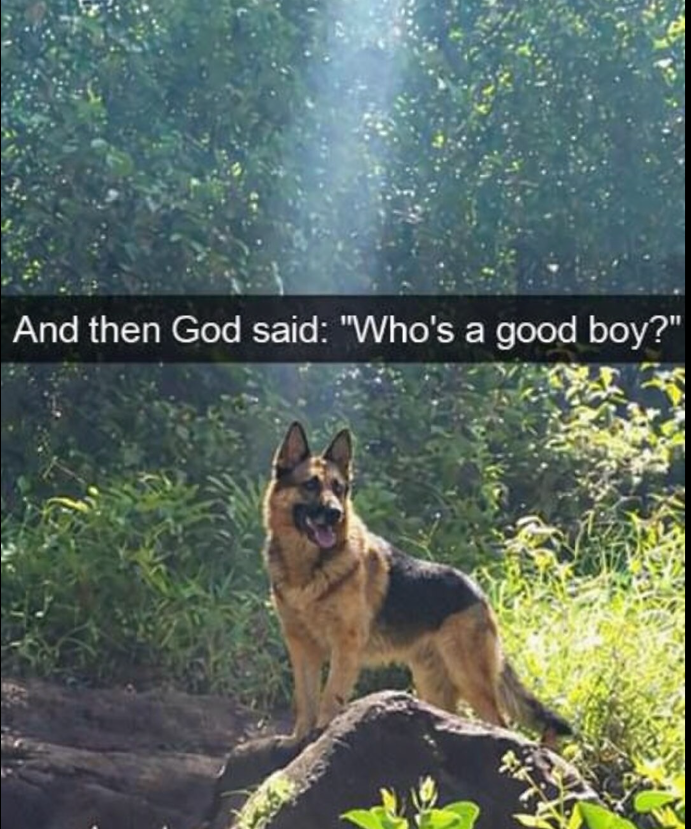 And then God said: "Who's a good boy?"