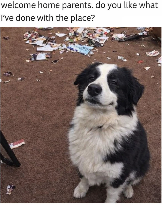 welcome home parents. do you like what i've done with the place?