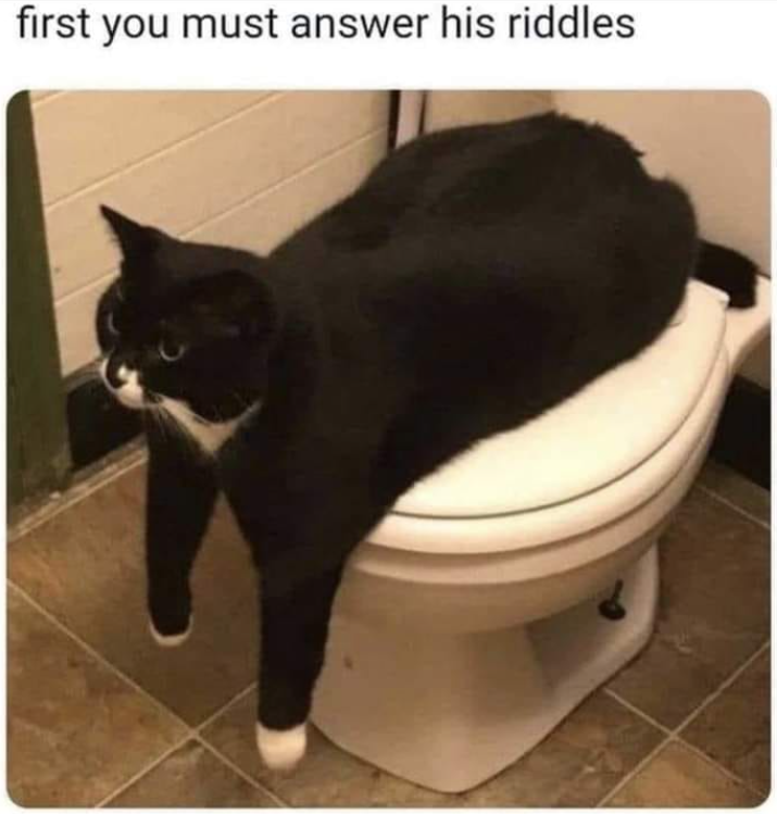 first you must answer his riddles