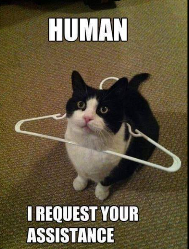 HUMAN I REQUEST YOUR ASSISTANCE