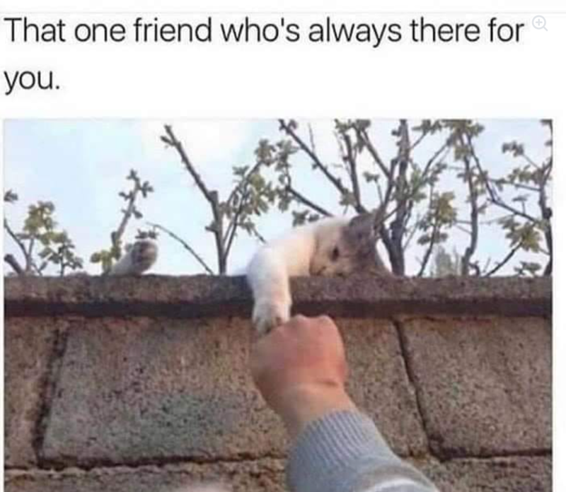 That one friend who's always there forⓇ you.
