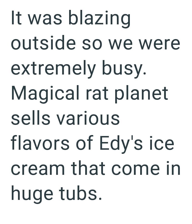 It was blazing outside so we were extremely busy. Magical rat planet sells various flavors of Edy's ice cream that come in huge tubs.