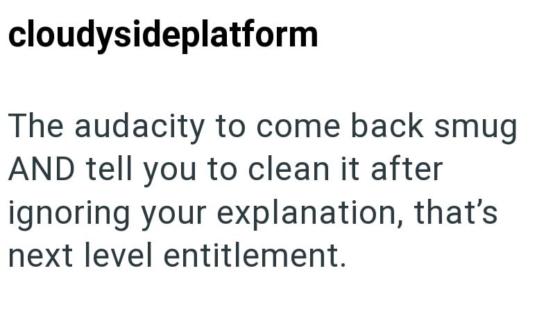 cloudysideplatform The audacity to come back smug AND tell you to clean it after ignoring your explanation, that's next level entitlement.