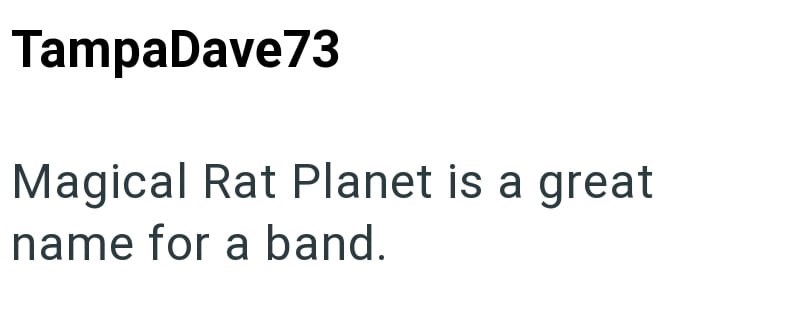 TampaDave73 Magical Rat Planet is a great name for a band.