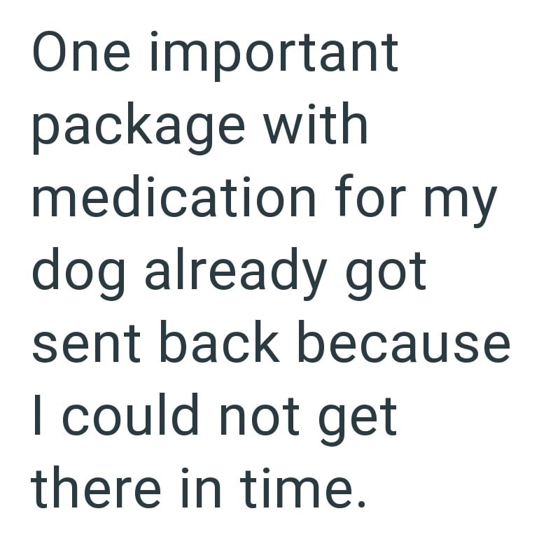 One important package with medication for my dog already got sent back because I could not get there in time.