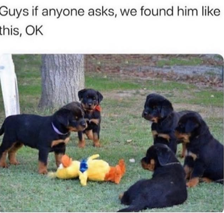 Guys if anyone asks, we found him like this, OK