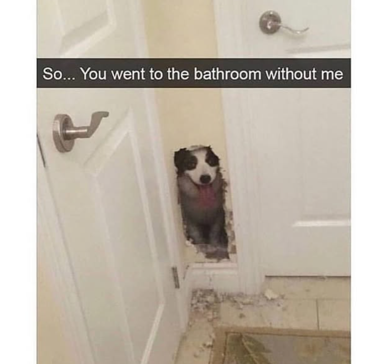 So... You went to the bathroom without me