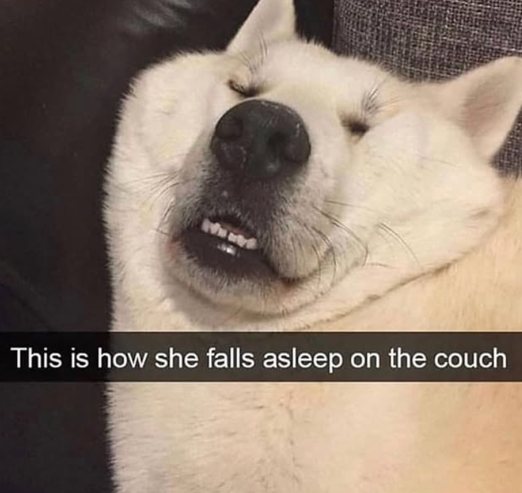 Wwww This is how she falls asleep on the couch