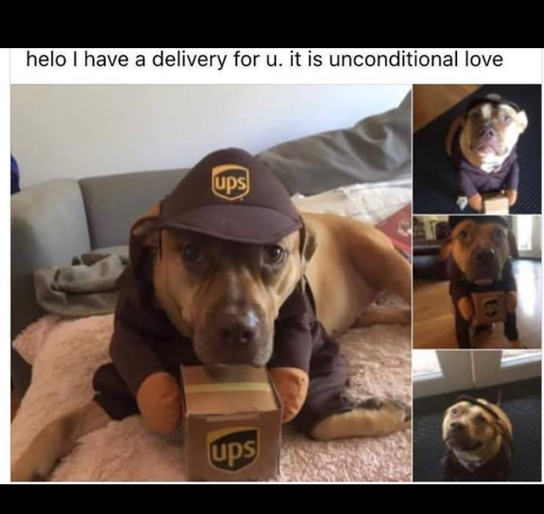 helo I have a delivery for u. it is unconditional love ups ups Ups