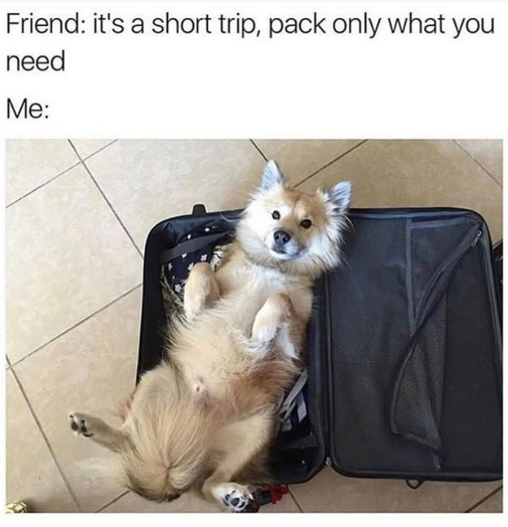 Friend: it's a short trip, pack only what you need Me: