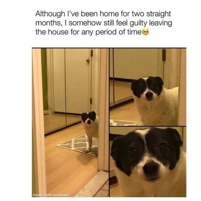 Although I've been home for two straight months, I somehow still feel guilty leaving the house for any period of time→ made with mematic