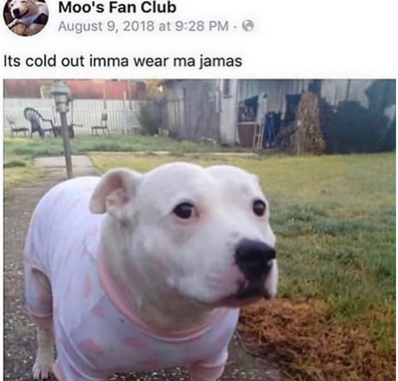 Moo's Fan Club August 9, 2018 at 9:28 PM - Its cold out imma wear ma jamas