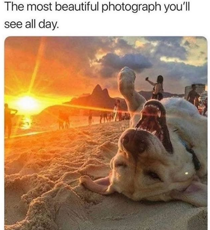 The most beautiful photograph you'll see all day.