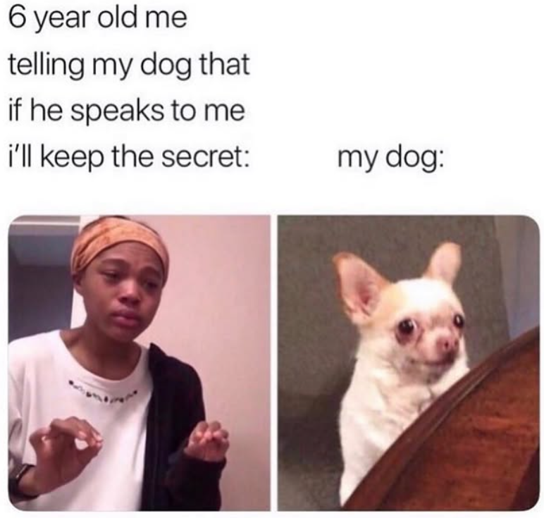 6 year old me telling my dog that if he speaks to me i'll keep the secret: my dog: