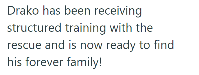 Drako has been receiving structured training with the rescue and is now ready to find his forever family!