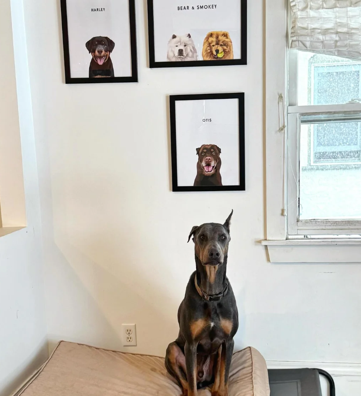 HARLEY BEAR & SMOKEY 33 OTIS