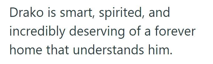 Drako is smart, spirited, and incredibly deserving of a forever home that understands him.