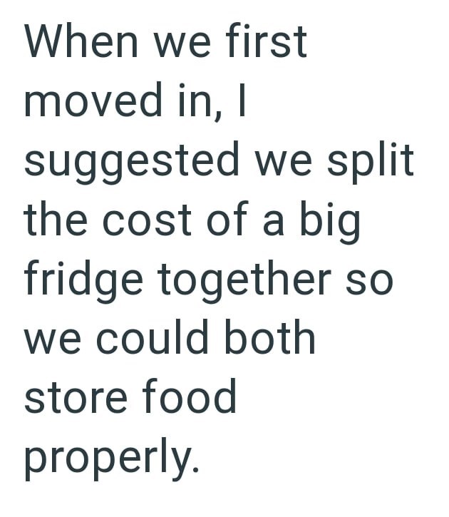 When we first moved in, I suggested we split the cost of a big fridge together so we could both store food properly.