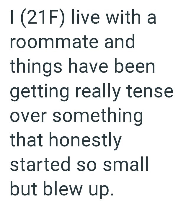 I (21F) live with a roommate and things have been getting really tense over something that honestly started so small but blew up.