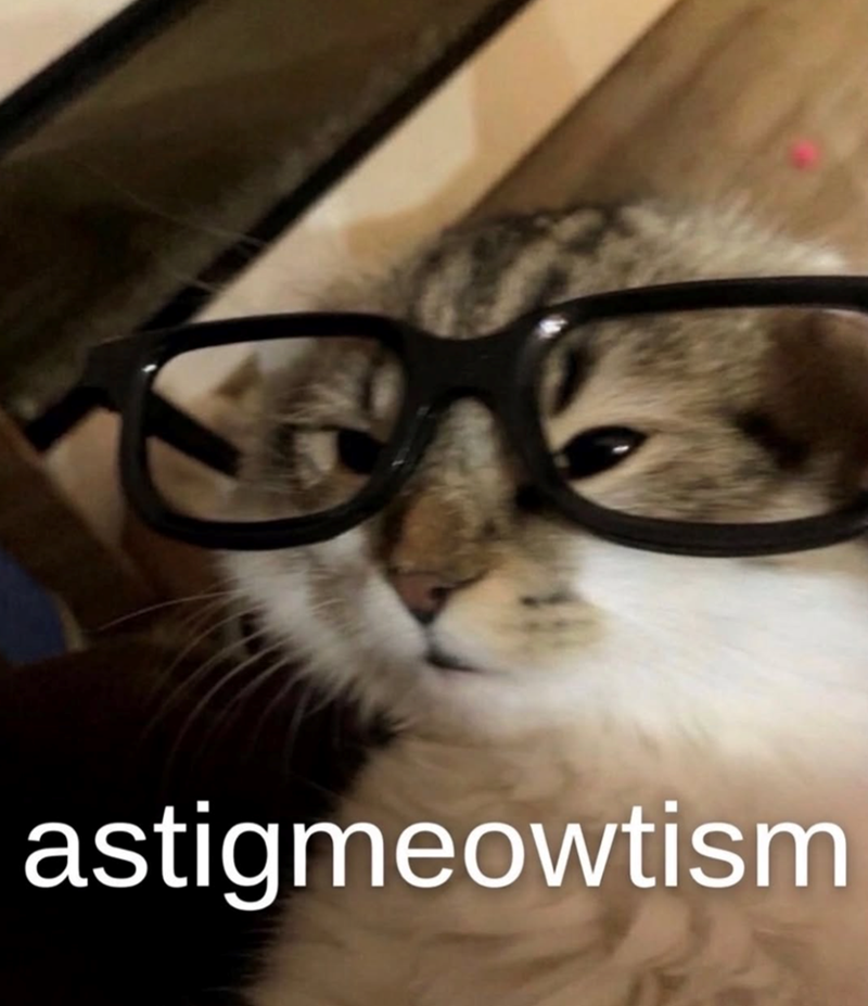 astigmeowtism