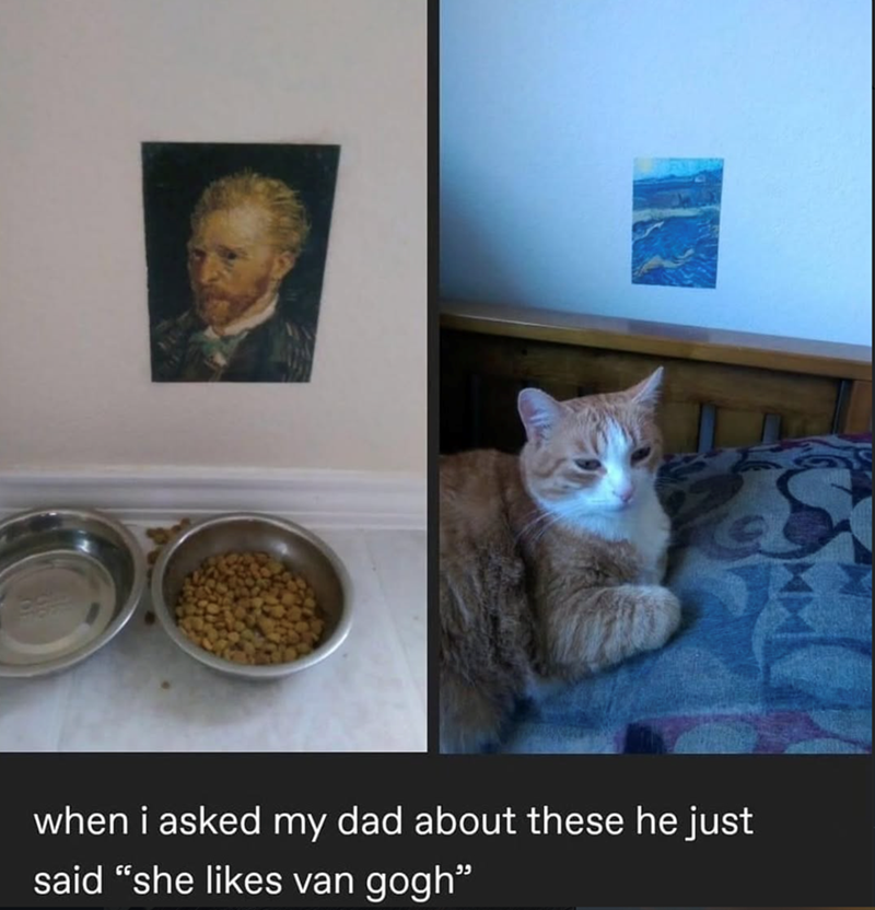 when i asked my dad about these he just said "she likes van gogh"