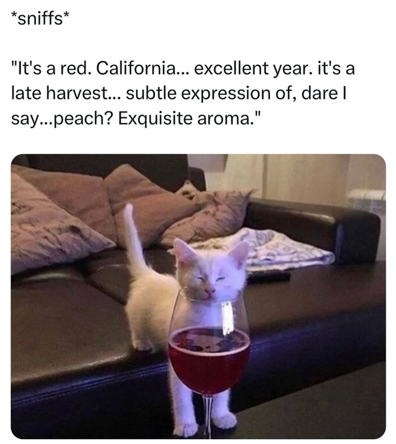 *sniffs* "It's a red. California... excellent year. it's a late harvest... subtle expression of, dare I say...peach? Exquisite aroma."