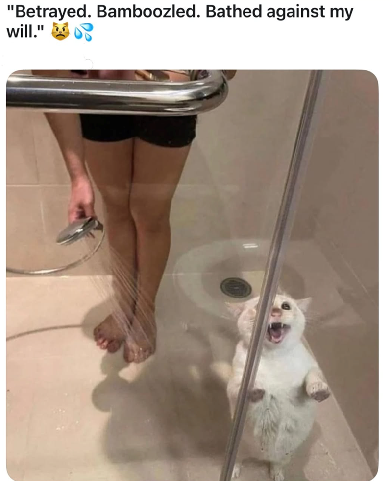 "Betrayed. Bamboozled. Bathed against my will."