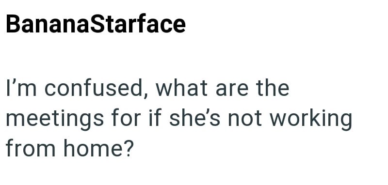 BananaStarface I'm confused, what are the meetings for if she's not working from home?