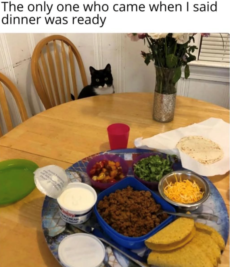 The only one who came when I said dinner was ready