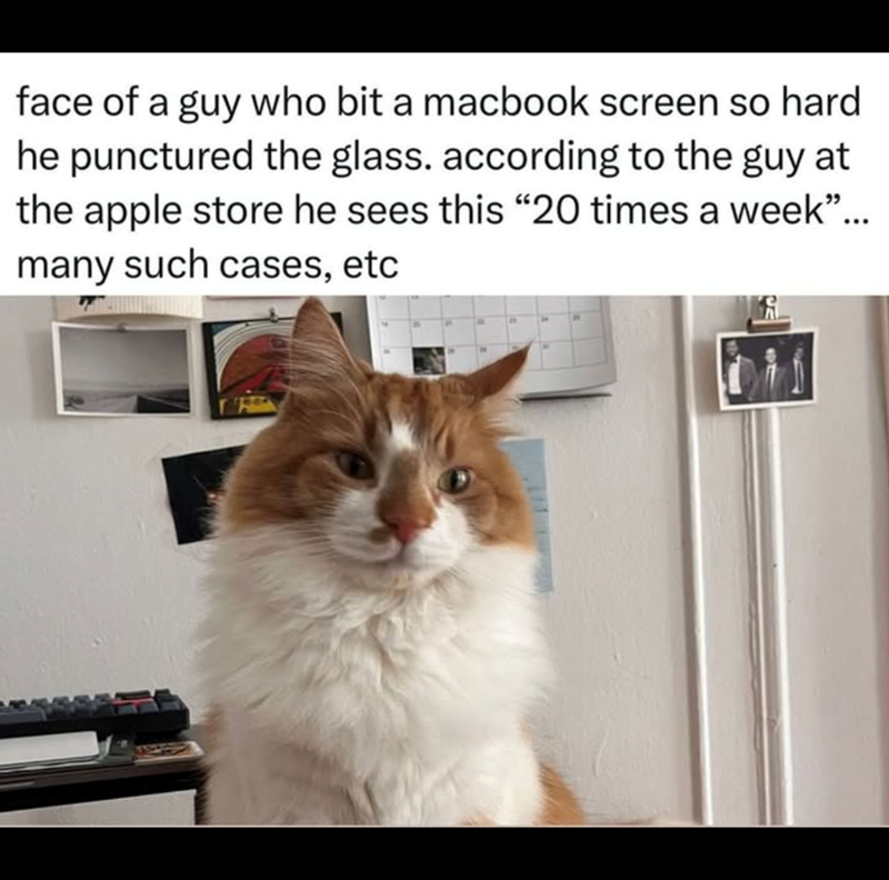 face of a guy who bit a macbook screen so hard he punctured the glass. according to the guy at the apple store he sees this "20 times a week"... many such cases, etc