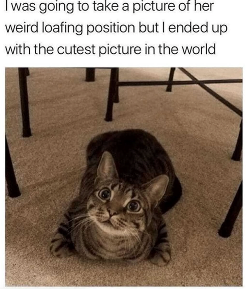 I was going to take a picture of her weird loafing position but I ended up with the cutest picture in the world