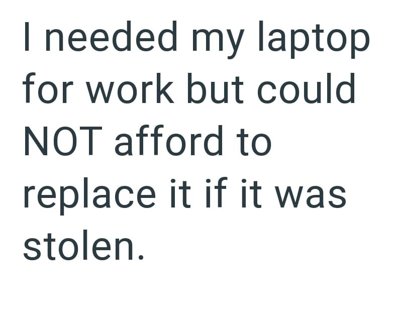 I needed my laptop for work but could NOT afford to replace it if it was stolen.