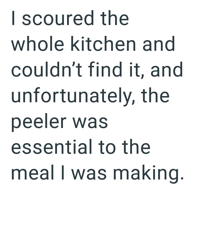 I scoured the whole kitchen and couldn't find it, and unfortunately, the peeler was essential to the meal I was making.