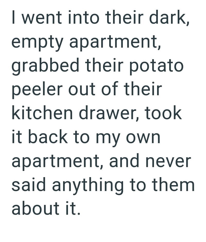 I went into their dark, empty apartment, grabbed their potato peeler out of their kitchen drawer, took it back to my own apartment, and never said anything to them about it.