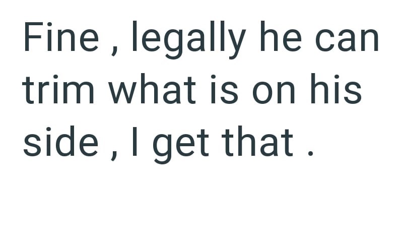 Fine, legally he can trim what is on his side, I get that.