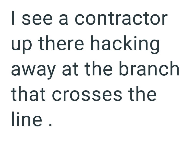 I see a contractor up there hacking away at the branch that crosses the line.
