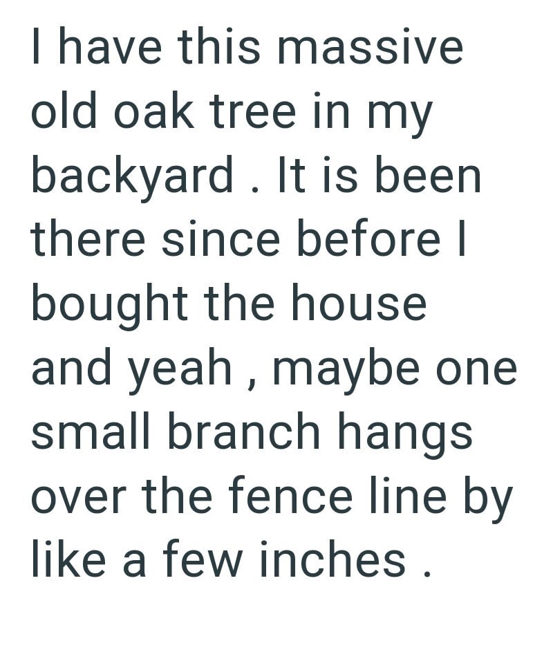 I have this massive old oak tree in my backyard. It is been there since before I bought the house and yeah, maybe one small branch hangs over the fence line by like a few inches.