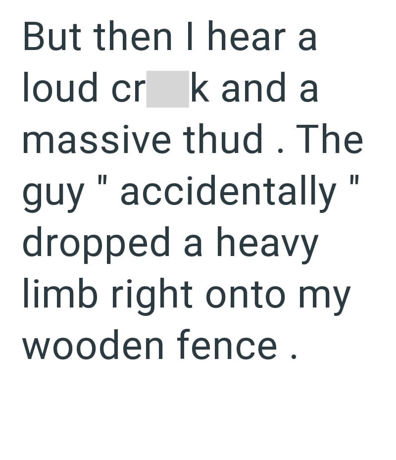 But then I hear a loud crk and a massive thud. The guy "accidentally " dropped a heavy limb right onto my wooden fence.