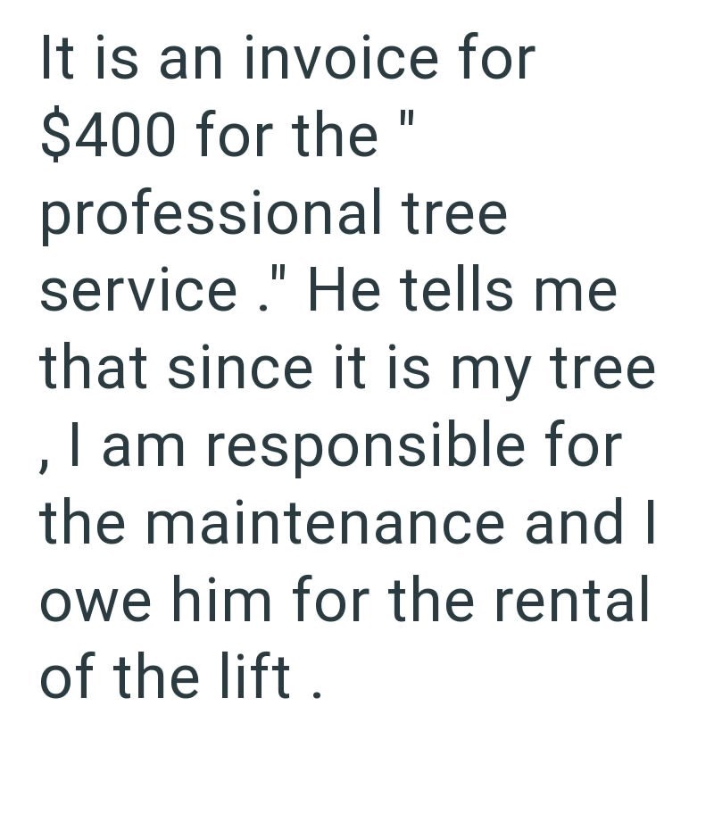 It is an invoice for $400 for the " professional tree service." He tells me that since it is my tree , I am responsible for the maintenance and I owe him for the rental of the lift.