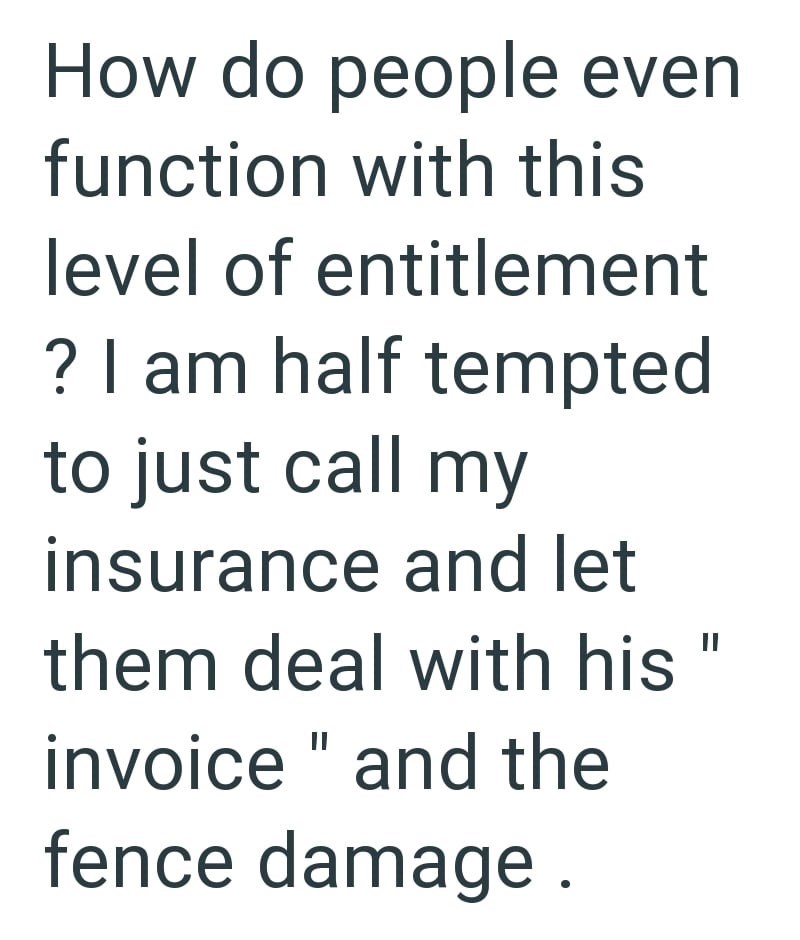 How do people even function with this level of entitlement ? I am half tempted to just call my insurance and let them deal with his invoice" and the fence damage.