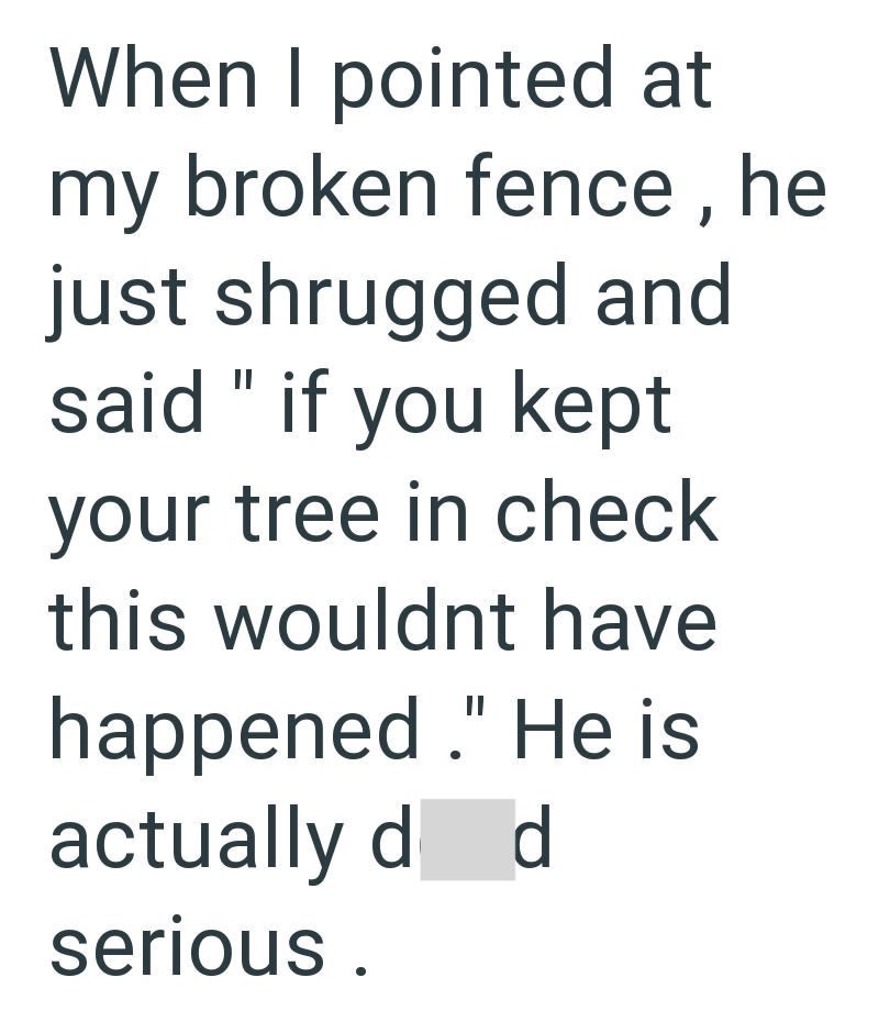 When I pointed at my broken fence, he just shrugged and said "if you kept your tree in check this wouldnt have happened." He is actually do d serious.