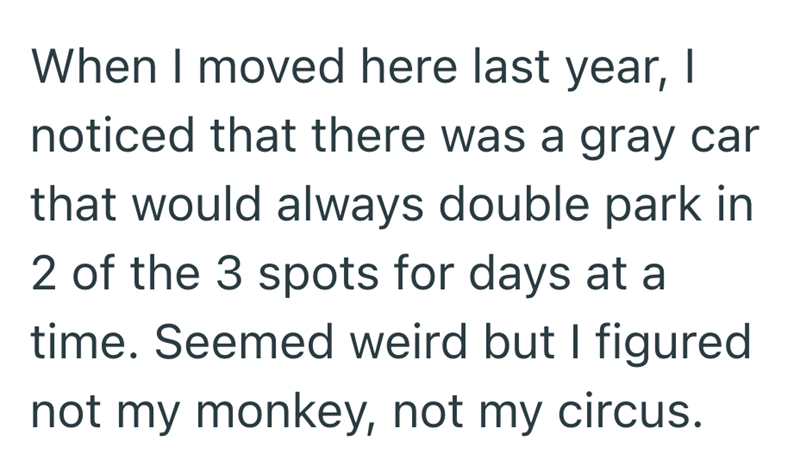 When I moved here last year, I noticed that there was a gray car that would always double park in 2 of the 3 spots for days at a time. Seemed weird but I figured not my monkey, not my circus.