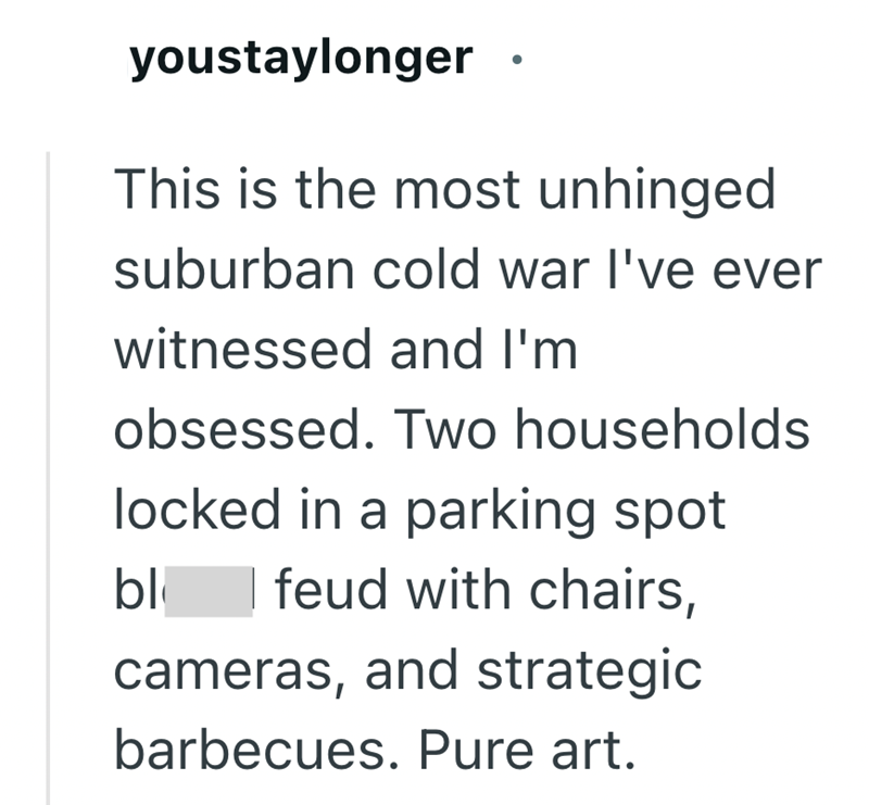 youstaylonger This is the most unhinged suburban cold war I've ever witnessed and I'm obsessed. Two households locked in a parking spot bl feud with chairs, cameras, and strategic barbecues. Pure art.