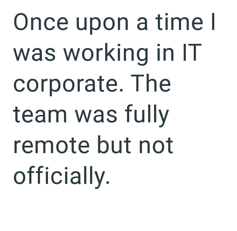 Once upon a time I was working in IT corporate. The team was fully remote but not officially.